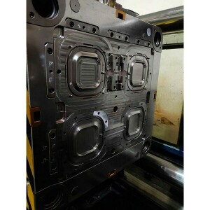 Plastic injection mold_raying mould